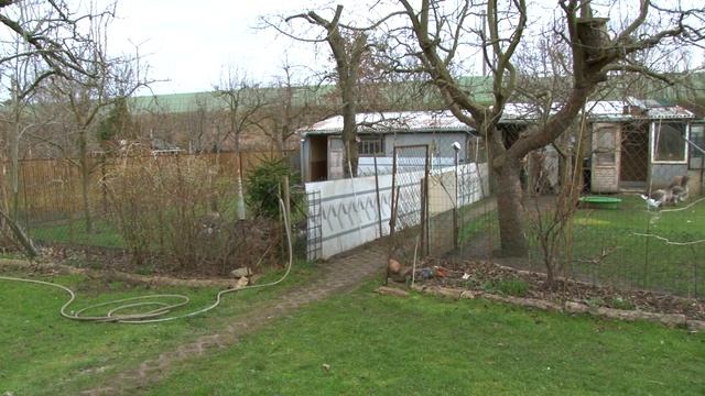 LUCKENWALDE | GÄNSEZÜCHTER STEFFEN PEMPE