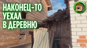 Бросил город и уехал в деревню. Что я увидел в деревне? 295 серия