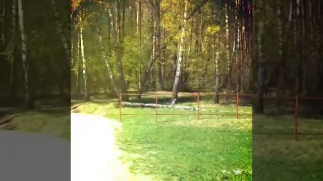 Продажа дачи у реки