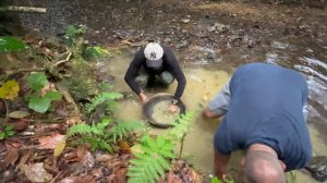 Доминикана/ Погнали смотреть Драгу/ Рустам Борода, Дд / Dominican Channel/ В поисках золота