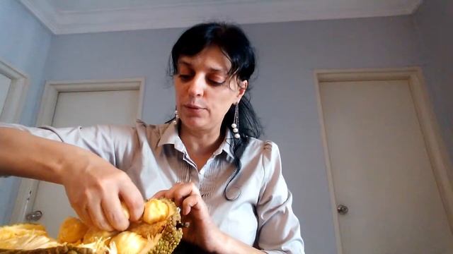 VIDEO0048 смотреть онлайн