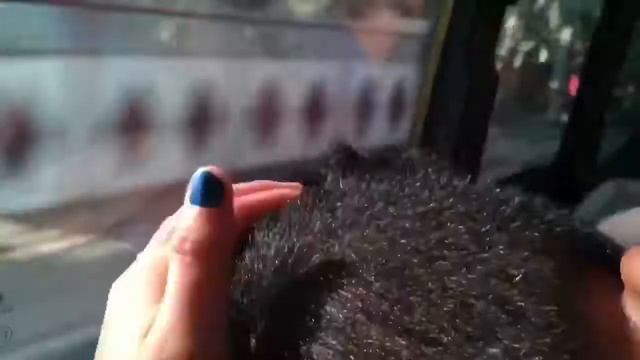 Our First Ever summer Vlog with Namja chingu at Oslob Cebu - Erika Sayson смотреть онлайн