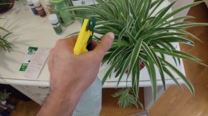 Почему Янтарная кислота из Аптеки лучше? Особенно для малого объёма или для комнатных цветов.