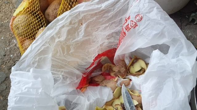 По помойкам и свалкам Краснодарского края ) Находки в мусорках) готовлю еду с помойки