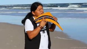 Титаник  на флейте 😍