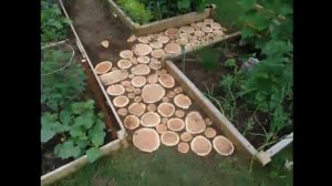 Дорожка из спилов брёвен для дачи и сада