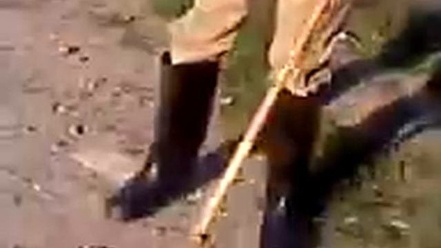 тотоша выбил глаз