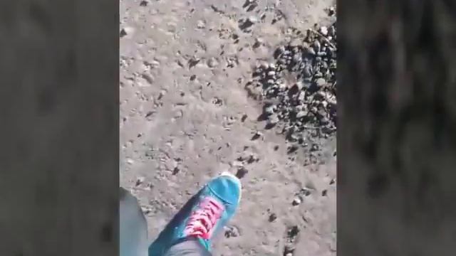 Vlog:иду к репетитору смотреть онлайн