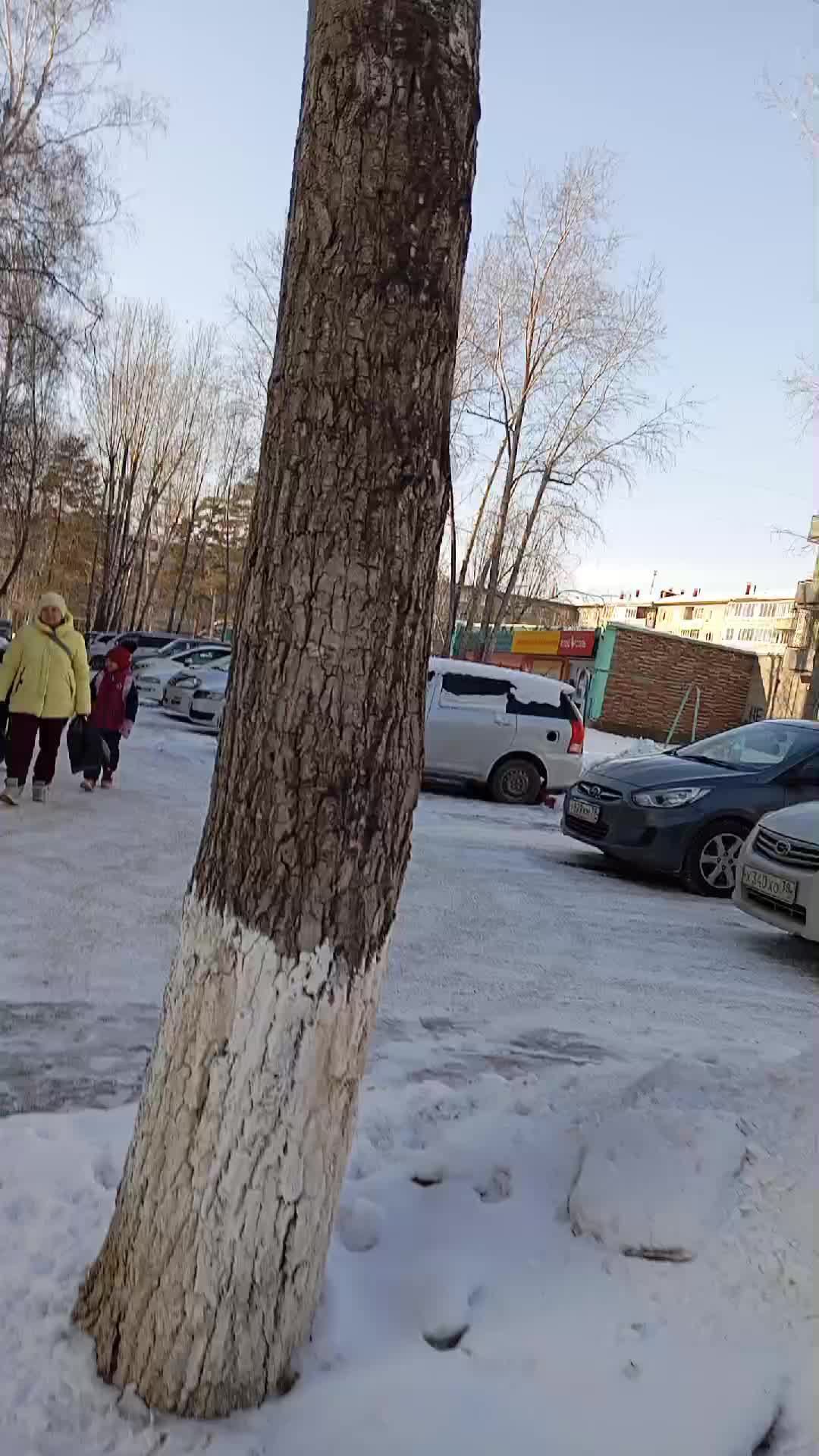 поддержите подпиской