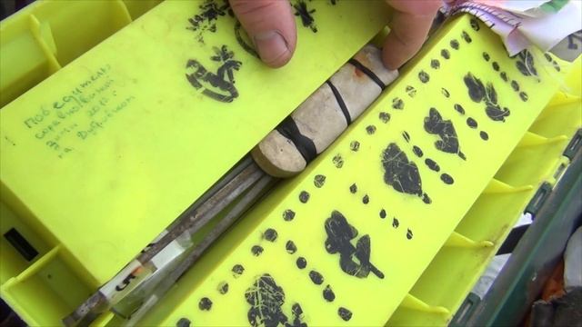 КАК быстро бросать рыбу в ящик КАК вместить флажки и ЧЕМ лечить руки