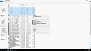 Rise of The Tomb Raider (BIGFILE.000) Problem FIX