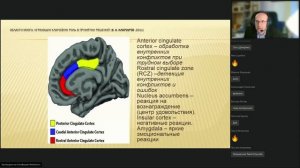 СИНДРОМ ОБЛОМОВА. Психологические и неврологические аспекты лени и прокрастинации у детей и взрослы