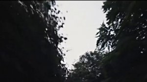 Night Lovell - Contraband / Lamborghini Showtime