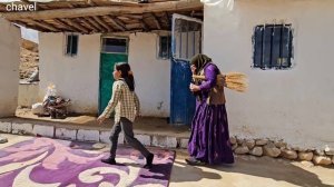 The life of Fighting family Reza in a challenging environment