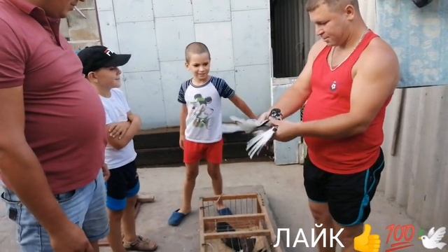 ТРЕНЕР С ПОЛИГОНА ПРИЕХАЛ ЗА ГОЛУБЯМИ. 9.07.2020.г. смотреть онлайн
