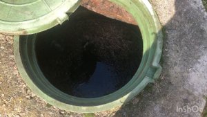 Септик из бетонных колец два года спустя после откачки.