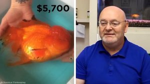 Самые Толстые Животные в Мире