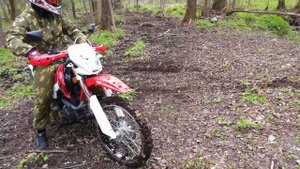 Ирбис ттр 250 р