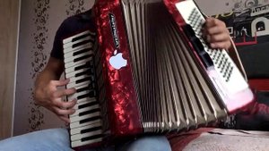 Шляпники - Да, со мной не просто (Кавер на аккордеоне)