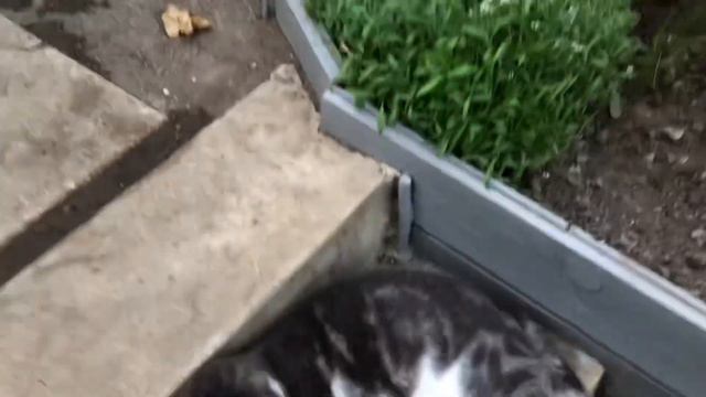 Новая салфетка или мини скатерть .(27.08.21) смотреть онлайн