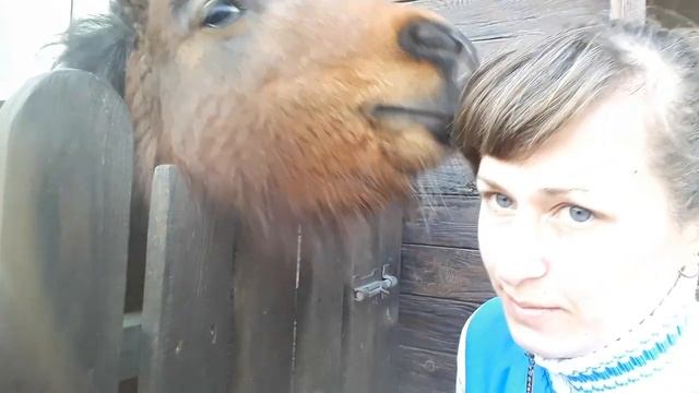 Шашлык по- Кавказски . Рёбрышки на Мангале. Рецепт маринада. Дома Всегда есть чем Заняться..mp4 смотреть онлайн