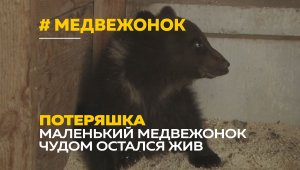 Медведи тоже плачут | Маленького мишку приютили на ранчо в Барнауле