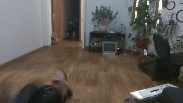 Вольные упражнения) Паливода Никита! смотреть онлайн