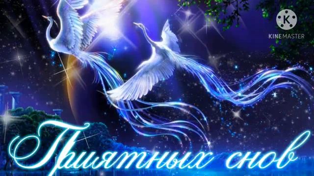 СЛАДКИХ СНОВ?КРАСИВОЕ ПОЖЕЛАНИЕ СПОКОЙНОЙ НОЧИ!?