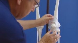 Наколенник GenuTrain Bauerfeind - бандаж на колено (Германия)