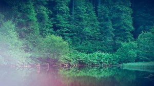 Истории из жизни Свекровь расстроилась... Жизненные истории Аудио рассказы