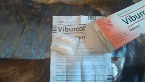 обзор суппозиториев ВИБУРКОЛ. СВЕЧИ во время беременности