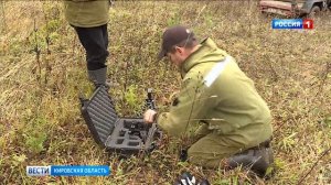 В Кировской области в дикую природу выпустили трех спасенных в Оричевском районе медвежат