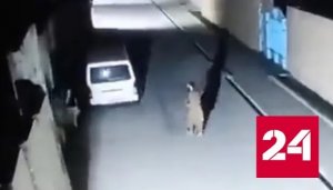 Камера сняла момент мощного землетрясения в Афганистане - Россия 24