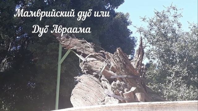 Святая Земля. Выпуск 2