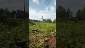 Увидеть Париж и.... А так ли уж прав Павел Дуров?