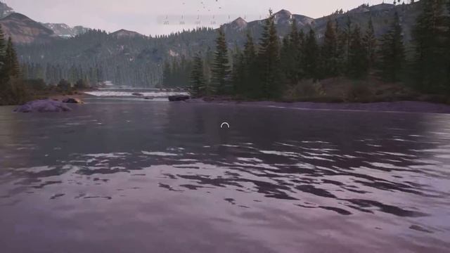 Black Bear Locations - Hunting Simulator 2 смотреть онлайн