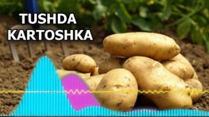 Тушда Картошка куриш - Kartoshkani tushida pishirish - Tushda juda ko'p kartoshka - Tushda kartoshk