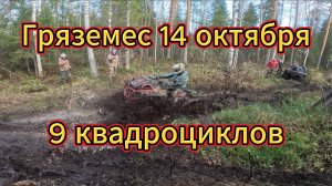 9 квадроциклов по Кировской грязи. Aodes, Stels, Arctic Cat, RM