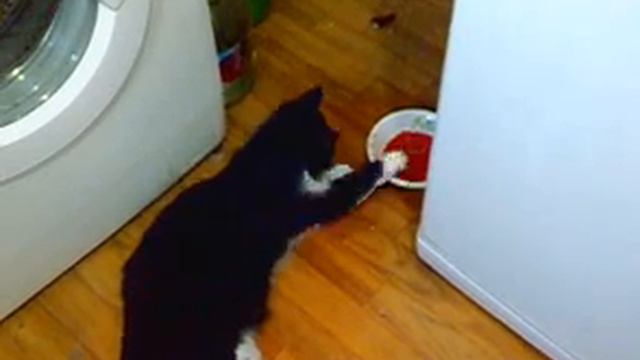 Эй толстый смотреть онлайн