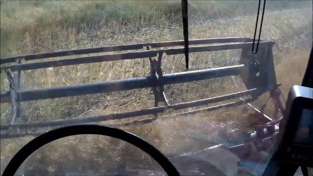 Первый раз убираем Рапс. ПАЛЕССЕ GS812. Уборка РАПСА (без рапс стола)