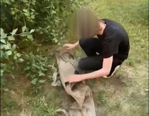 НЕСОВЕРШЕННОЛЕТНИЙ ТЕРРОРИСТ ПЛАНИРОВАЛ УБИЙСТВО ДЕТЕЙ В ШКОЛЕ