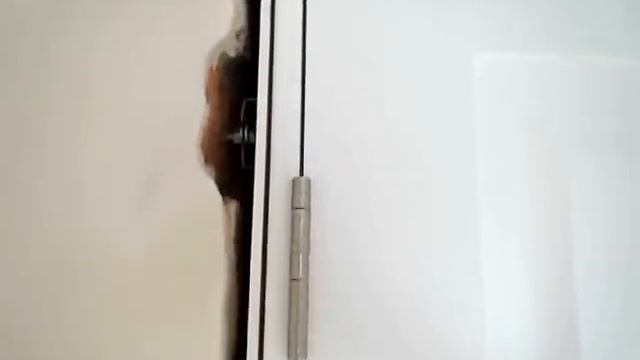 установка дверей с кривой дверной коробкой. супер способ. installation of doors