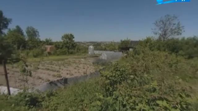 Пулково / «Малые родины большого Петербурга» смотреть онлайн