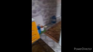 снегопад//съездили по магазинам//готовлю ужин//80% вышивки готово//(1 год назад)