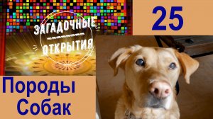 Породы Собак. История селекции. З/О_25.