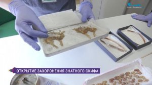 Золото скифов. Находки археологов Государственного Эрмитажа