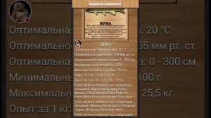 "Моя база" | Реальная Рыбалка