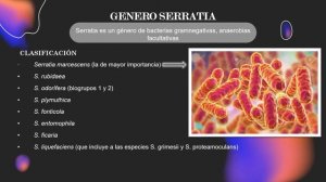 KLEBSIELLA - MILLUSKA CAZORLA Y JHONATAN CELLERI  - MEDICINA VETERINARIA 3''A''