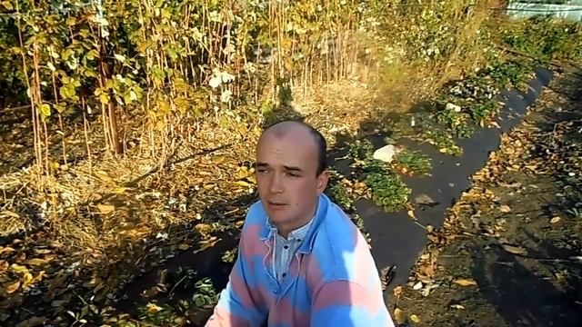 СКОЛЬКО ЛЕЖИТ АГРОВОЛОКНО? ОТВЕТЫ НА ВОПРОСЫ. смотреть онлайн