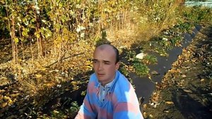 СКОЛЬКО ЛЕЖИТ АГРОВОЛОКНО? ОТВЕТЫ НА ВОПРОСЫ.
